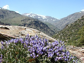 Berglandschaft der Sierre Nevada